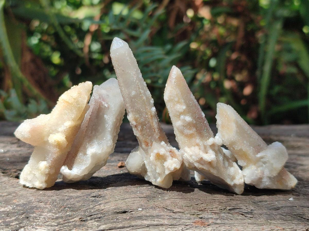 Natural Drusy Fairy Spirit Quartz Crystals x 70 From Boekenhouthoek, South Africa