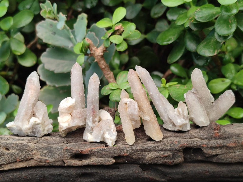 Natural Drusy Fairy Spirit Quartz Crystals x 70 From Boekenhouthoek, South Africa