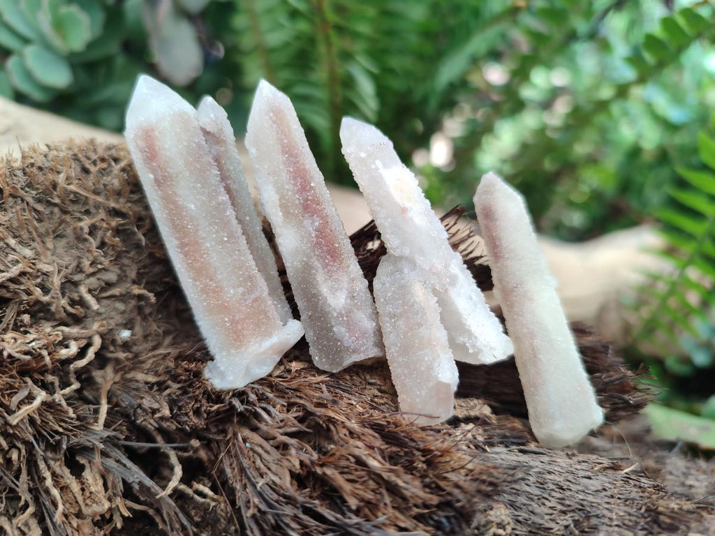 Natural Drusy Fairy Spirit Quartz Crystals x 70 From Boekenhouthoek, South Africa