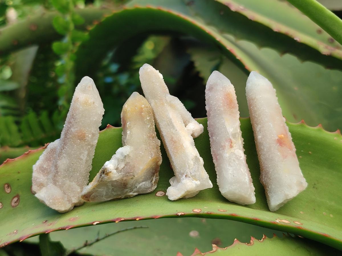 Natural Drusy Fairy Spirit Quartz Crystals x 70 From Boekenhouthoek, South Africa