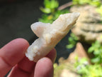 Natural Drusy Fairy Spirit Quartz Crystals x 70 From Boekenhouthoek, South Africa