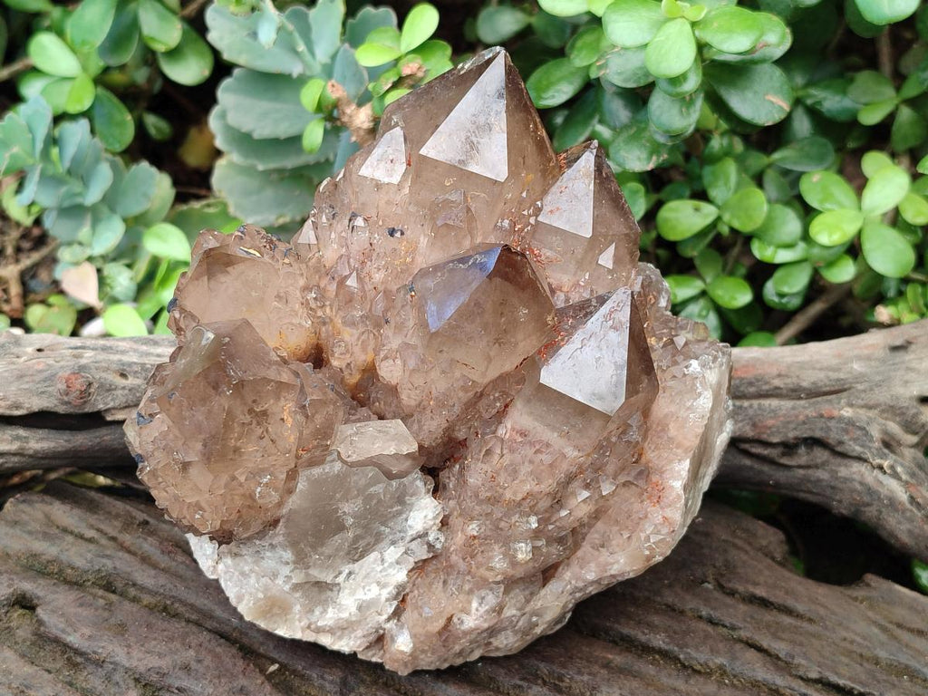 Natural Large Cascading White Phantom Smokey Luena Quartz Cluster x 1 From Luena, Congo