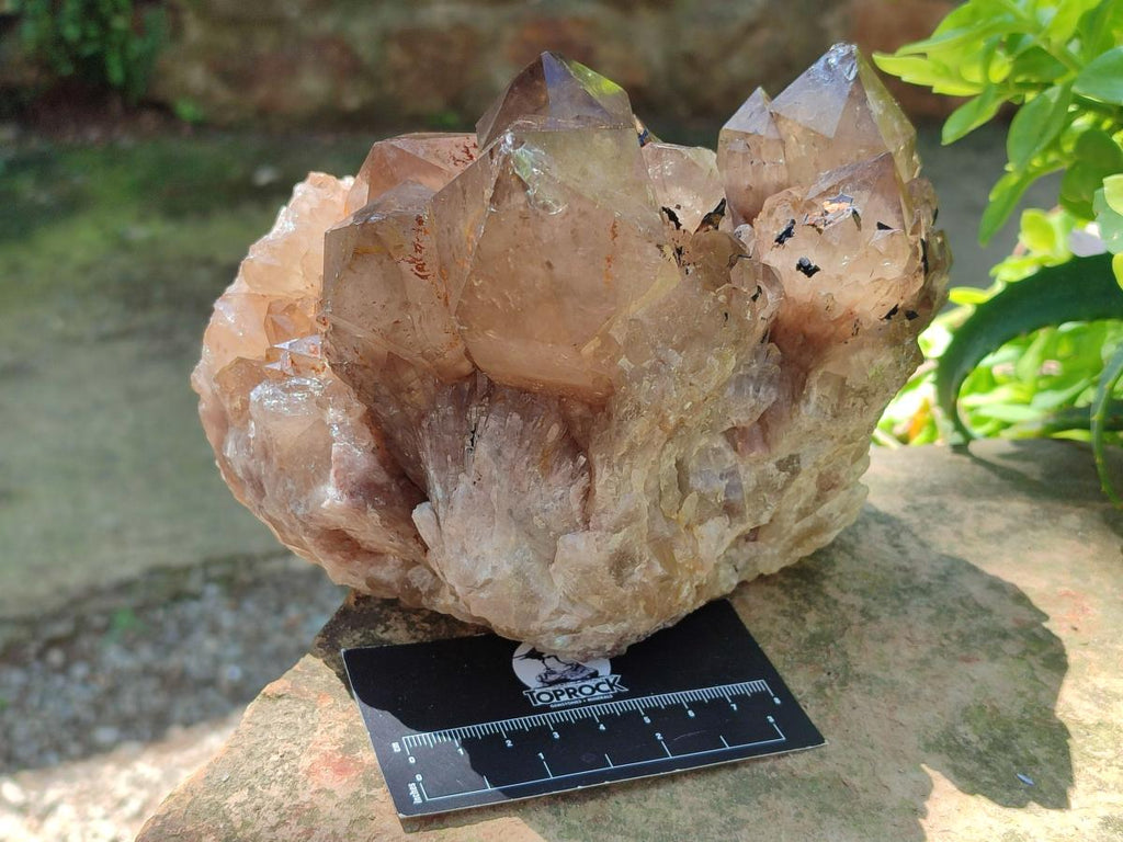 Natural Large Cascading White Phantom Smokey Luena Quartz Cluster x 1 From Luena, Congo