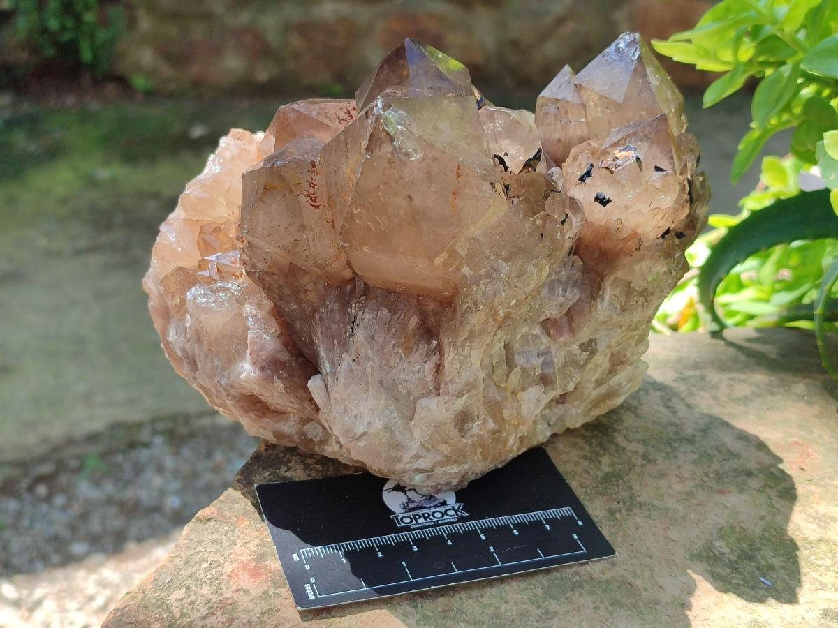 Natural Large Cascading White Phantom Smokey Luena Quartz Cluster x 1 From Luena, Congo