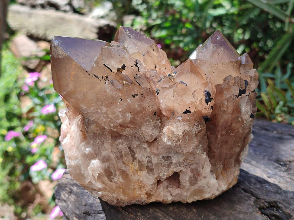 Natural Large Cascading White Phantom Smokey Luena Quartz Cluster x 1 From Luena, Congo