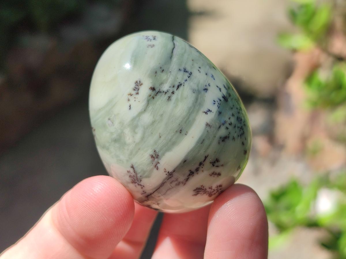 Polished Mix of Multi Mineral Eggs x 12 From Southern Africa