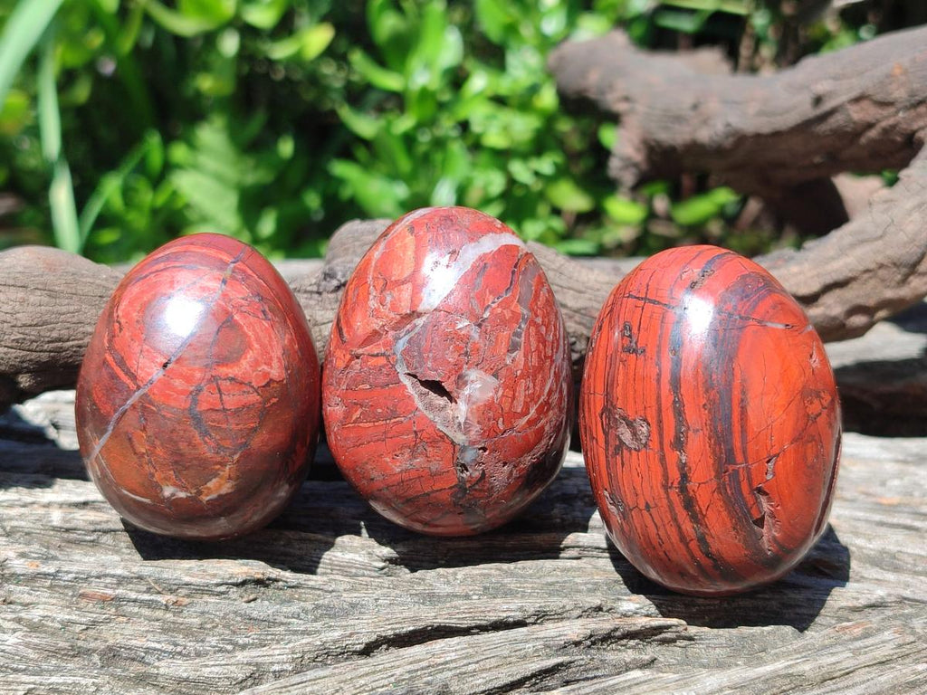 Polished Mix of Multi Mineral Eggs x 12 From Southern Africa