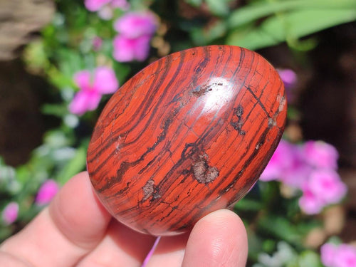Polished Mix of Multi Mineral Eggs x 12 From Southern Africa - Toprock Gemstones and Minerals 