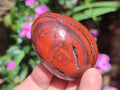 Polished Mix of Multi Mineral Eggs x 12 From Southern Africa