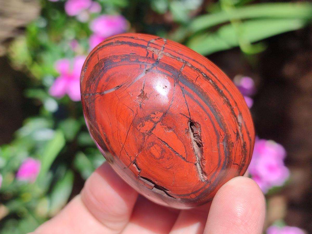 Polished Mix of Multi Mineral Eggs x 12 From Southern Africa