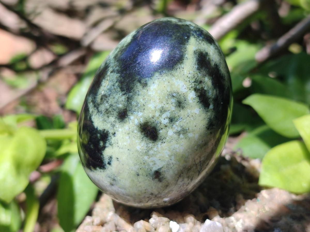Polished Mix of Multi Mineral Eggs x 12 From Southern Africa