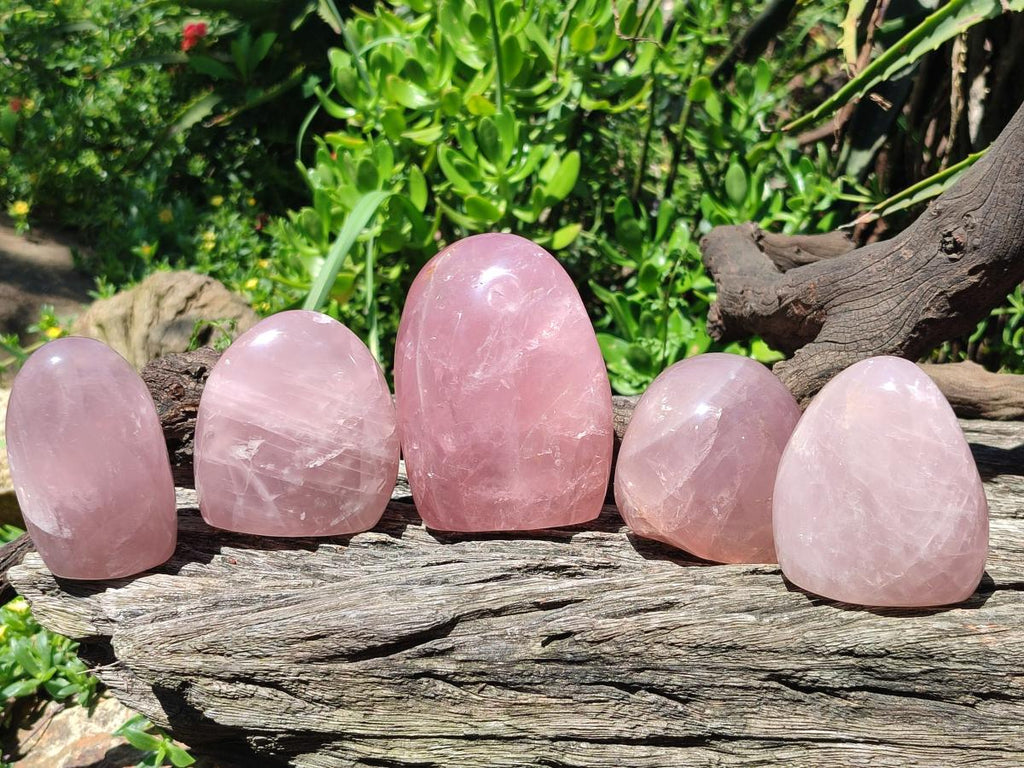 Polished Gemmy Rose Quartz Standing Display Pieces x 5 From Madagascar
