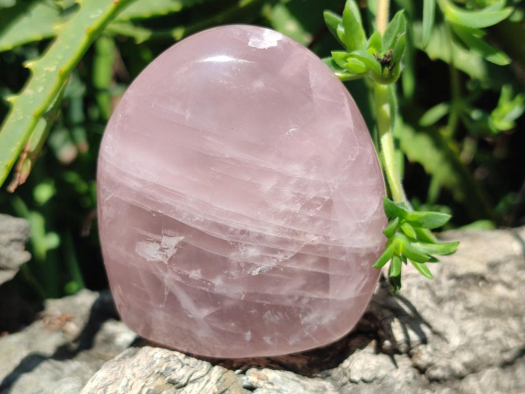 Polished Gemmy Rose Quartz Standing Display Pieces x 5 From Madagascar