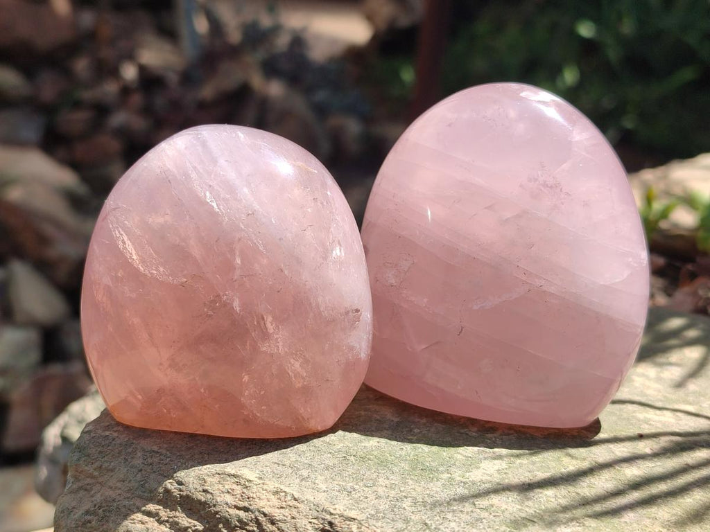 Polished Gemmy Rose Quartz Standing Display Pieces x 5 From Madagascar