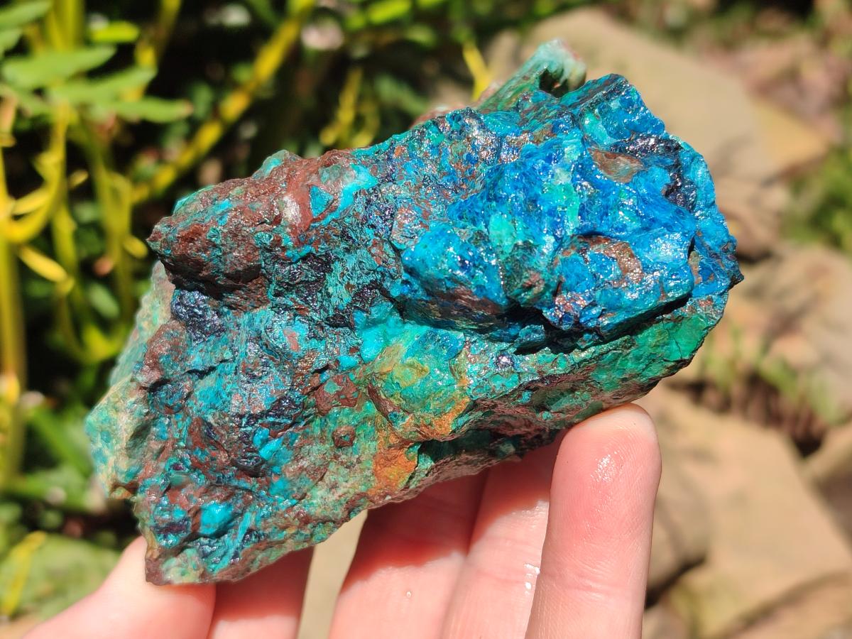 Natural Shattuckite Cobbed Specimens with Associated Minerals x 6 From Kaokoveld, Namibia