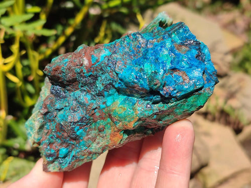 Natural Shattuckite Cobbed Specimens with Associated Minerals x 6 From Kaokoveld, Namibia - Toprock Gemstones and Minerals 