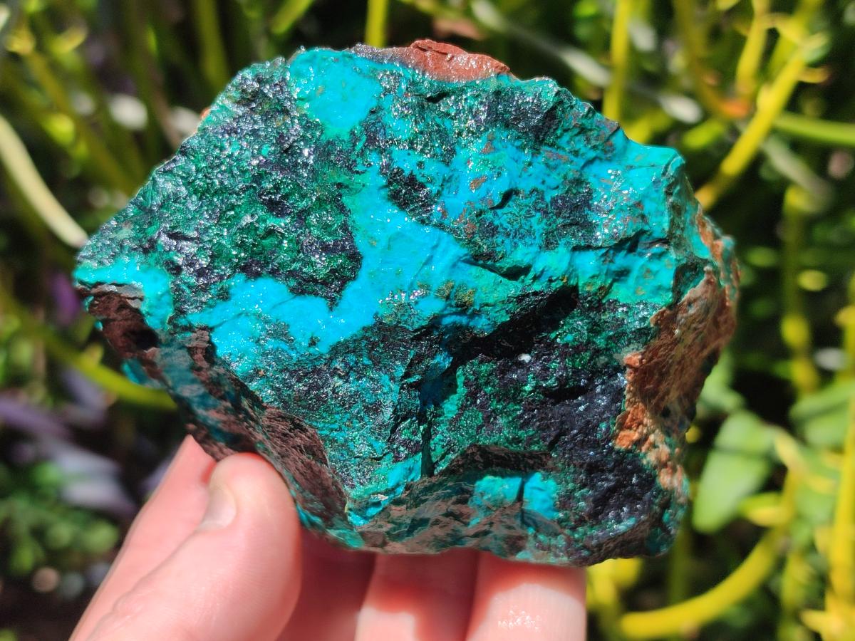 Natural Shattuckite Cobbed Specimens with Associated Minerals x 6 From Kaokoveld, Namibia
