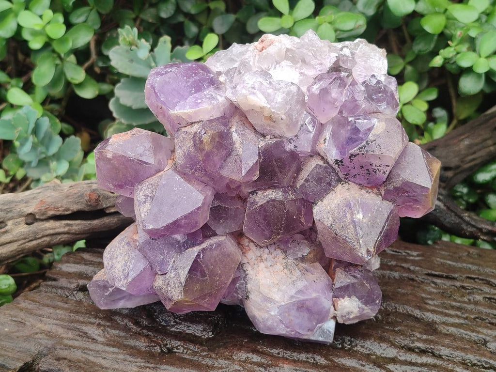 Natural Large Jacaranda Amethyst Crystal Cluster x 1 From Mumbwa, Zambia - Toprock Gemstones and Minerals 