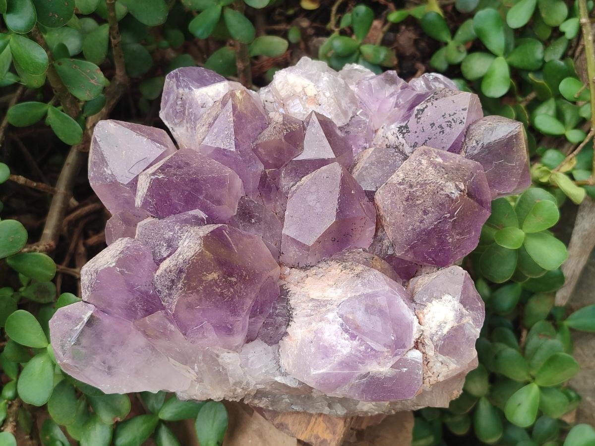 Natural Large Jacaranda Amethyst Crystal Cluster x 1 From Mumbwa, Zambia - Toprock Gemstones and Minerals 