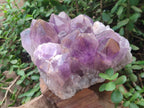 Natural Large Jacaranda Amethyst Crystal Cluster x 1 From Mumbwa, Zambia - Toprock Gemstones and Minerals 