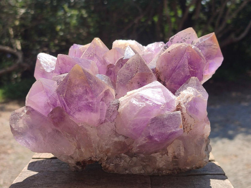 Natural Large Jacaranda Amethyst Crystal Cluster x 1 From Mumbwa, Zambia - Toprock Gemstones and Minerals 