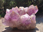 Natural Large Jacaranda Amethyst Crystal Cluster x 1 From Mumbwa, Zambia - Toprock Gemstones and Minerals 