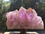 Natural Large Jacaranda Amethyst Crystal Cluster x 1 From Mumbwa, Zambia - Toprock Gemstones and Minerals 