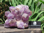 Natural Large Jacaranda Amethyst Crystal Cluster x 1 From Mumbwa, Zambia - Toprock Gemstones and Minerals 