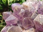 Natural Large Jacaranda Amethyst Crystal Cluster x 1 From Mumbwa, Zambia - Toprock Gemstones and Minerals 