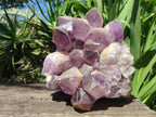 Natural Large Jacaranda Amethyst Crystal Cluster x 1 From Mumbwa, Zambia - Toprock Gemstones and Minerals 
