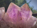 Natural Large Jacaranda Amethyst Crystal Cluster x 1 From Mumbwa, Zambia - Toprock Gemstones and Minerals 