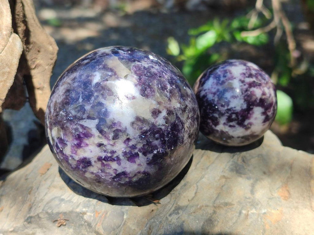 Polished Silver Leaf Lepidolite Spheres x 5 From Zimbabwe - Toprock Gemstones and Minerals 