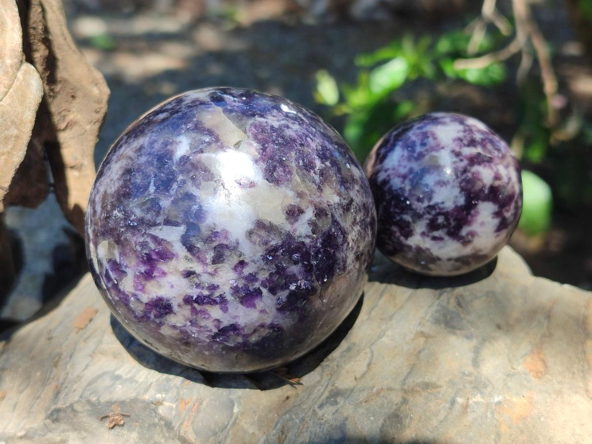 Polished Silver Leaf Lepidolite Spheres x 5 From Zimbabwe - Toprock Gemstones and Minerals 