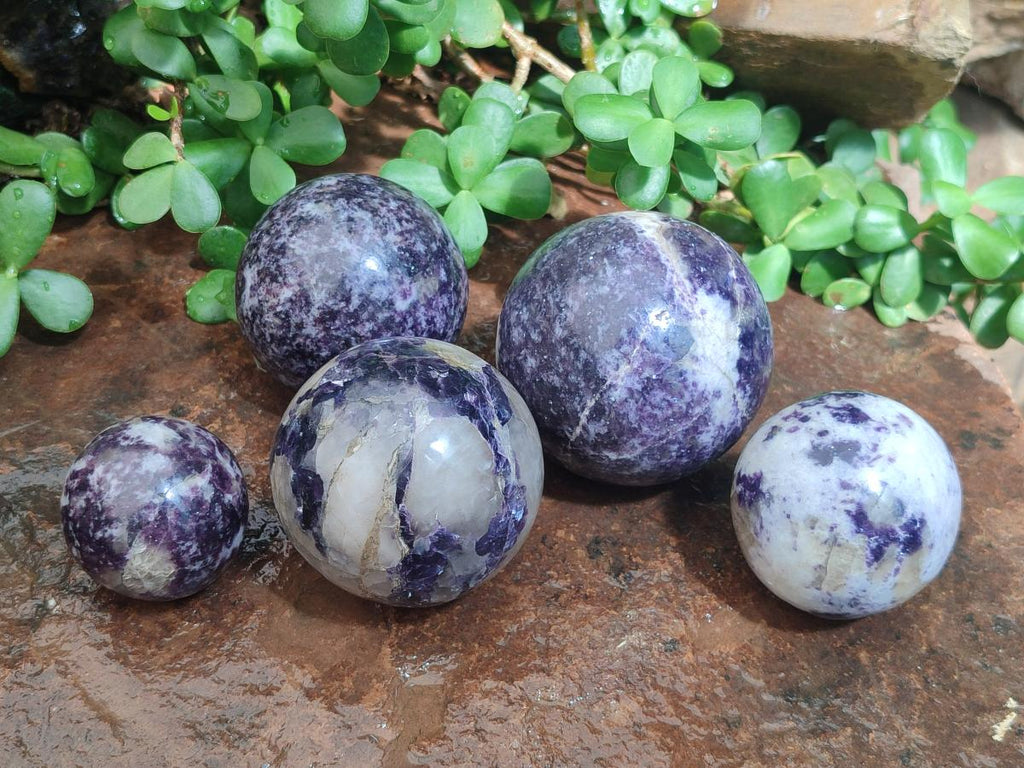Polished Silver Leaf Lepidolite Spheres x 5 From Zimbabwe - Toprock Gemstones and Minerals 