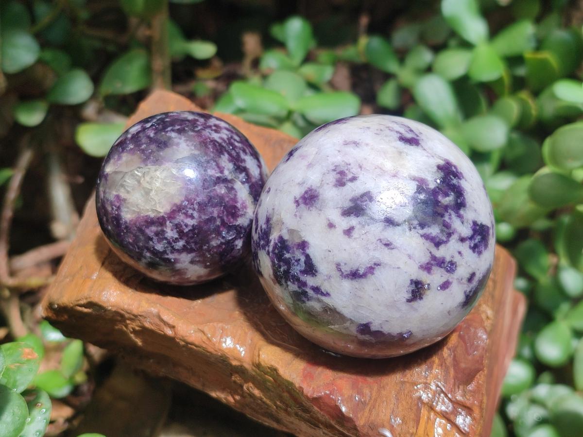 Polished Silver Leaf Lepidolite Spheres x 5 From Zimbabwe - Toprock Gemstones and Minerals 