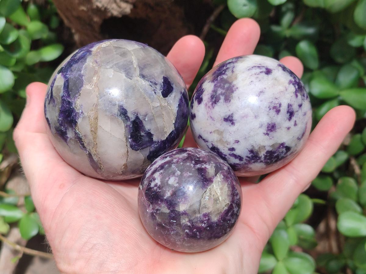 Polished Silver Leaf Lepidolite Spheres x 5 From Zimbabwe - Toprock Gemstones and Minerals 