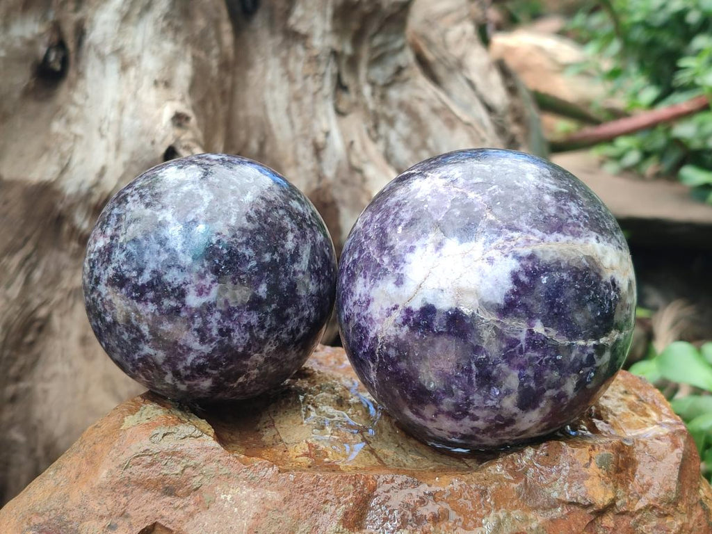 Polished Silver Leaf Lepidolite Spheres x 5 From Zimbabwe - Toprock Gemstones and Minerals 