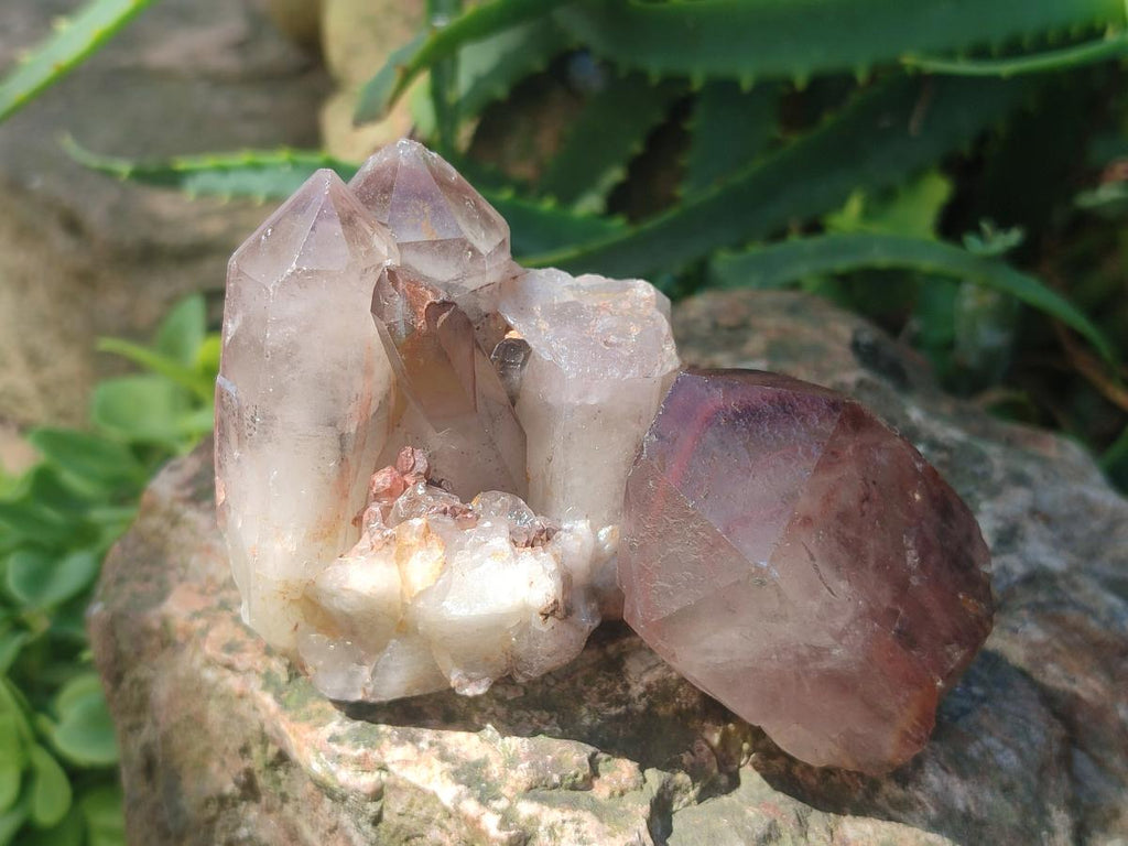 Natural Red Hematoid Quartz Crystals and Clusters x 12 From Karoi, Zimbabwe - Toprock Gemstones and Minerals 