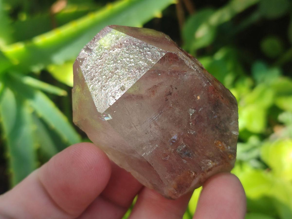 Natural Red Hematoid Quartz Crystals and Clusters x 12 From Karoi, Zimbabwe - Toprock Gemstones and Minerals 
