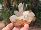 Natural Red Hematoid Quartz Crystals and Clusters x 12 From Karoi, Zimbabwe - Toprock Gemstones and Minerals 