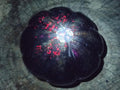 Hand Made Verdite Pumpkins Carvings x 3 From Zimbabwe - Toprock Gemstones and Minerals 