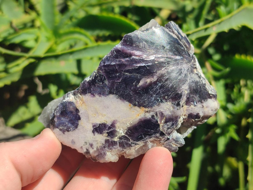 Polished One Side Silver Leaf Lepidolite Slices x 12 From Zimbabwe - Toprock Gemstones and Minerals 