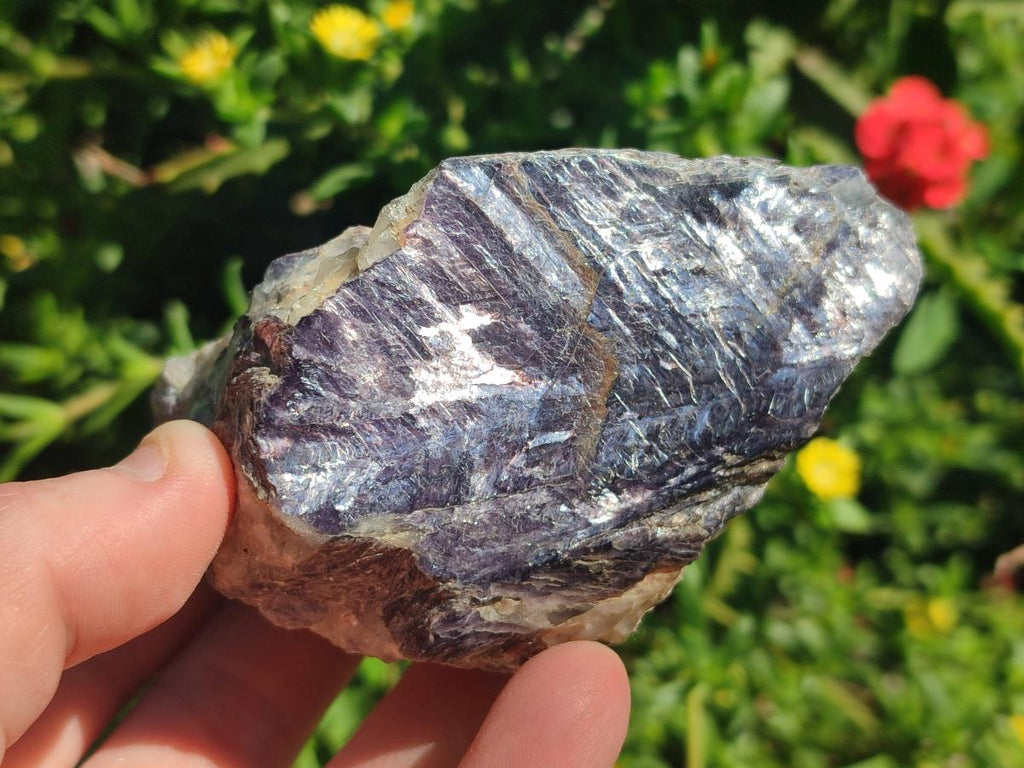 Polished One Side Silver Leaf Lepidolite Slices x 12 From Zimbabwe - Toprock Gemstones and Minerals 
