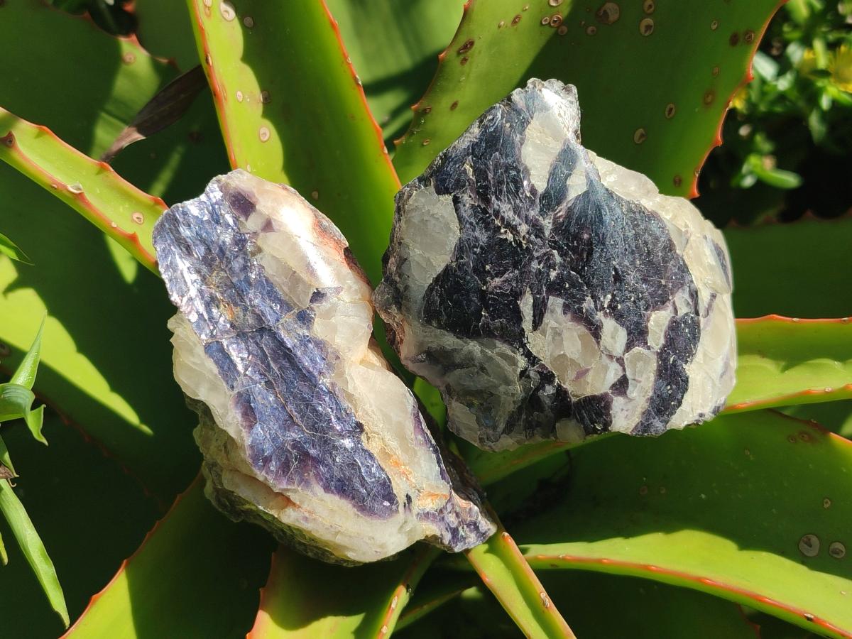 Polished One Side Silver Leaf Lepidolite Slices x 12 From Zimbabwe - Toprock Gemstones and Minerals 
