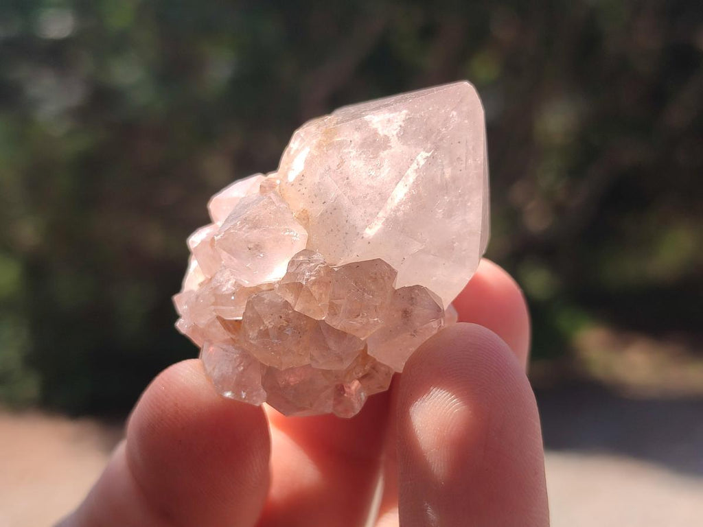 Natural Spirit Quartz Crystals x 56 From Boekenhouthoek, South Africa - Toprock Gemstones and Minerals 