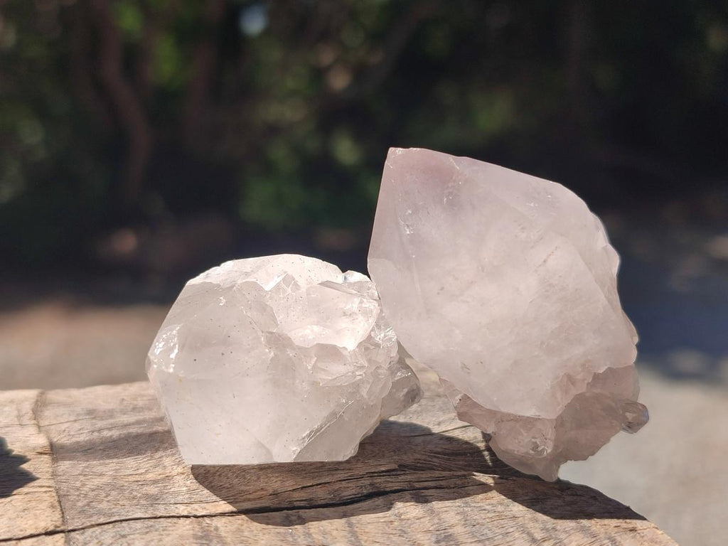 Natural Spirit Quartz Crystals x 56 From Boekenhouthoek, South Africa - Toprock Gemstones and Minerals 
