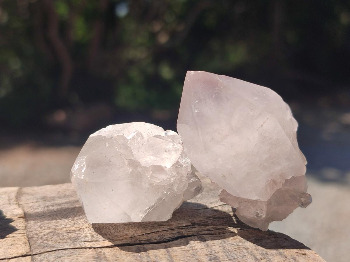 Natural Spirit Quartz Crystals x 56 From Boekenhouthoek, South Africa - Toprock Gemstones and Minerals 
