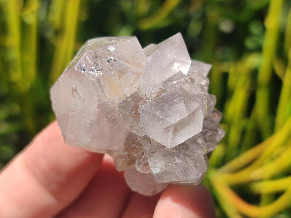 Natural Spirit Quartz Crystals x 56 From Boekenhouthoek, South Africa - Toprock Gemstones and Minerals 