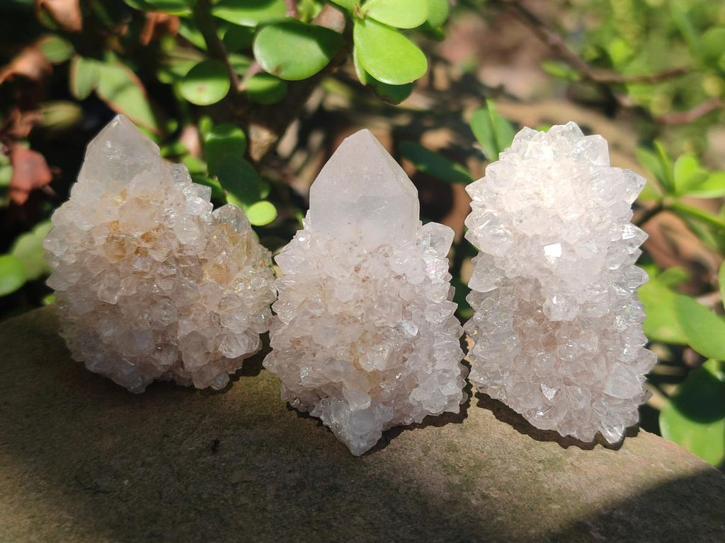 Natural Spirit Quartz Crystals x 56 From Boekenhouthoek, South Africa - Toprock Gemstones and Minerals 