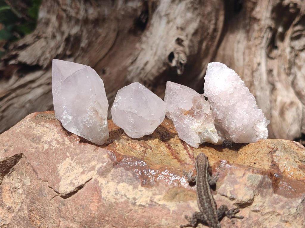 Natural Spirit Quartz Crystals x 56 From Boekenhouthoek, South Africa - Toprock Gemstones and Minerals 